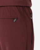 PANTALONI CORNELIANI, technical wool fabric joggers, Brown