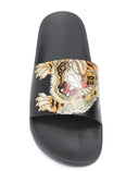 PAPUCI DSQUARED2