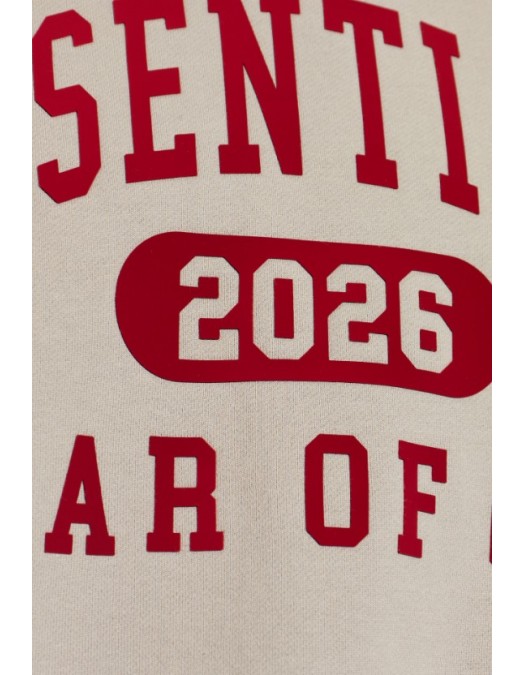 Hanorac FEAR OF GOD,  Essentials GREY Sweatshirt with logo - 192HO256862FSMOKEGREY