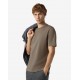 TRICOU CORNELIANI, Bumbac, Guler duo, Beige - 26G5712625022024