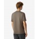 TRICOU CORNELIANI, Bumbac, Guler duo, Beige - 26G5712625022024