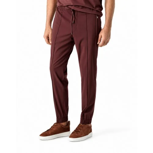 PANTALONI CORNELIANI, technical wool fabric joggers, Brown