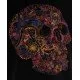 Tricou Alexander Mcqueen, Negru, Skull Color - 649873QQZ530901 Tricou Alexander Mcqueen, Negru, Skull Color - 649873QQZ530901