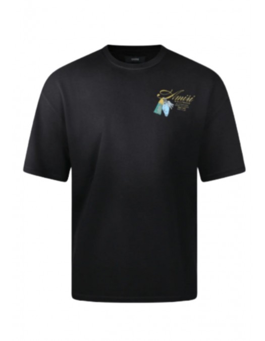 Tricou AMIRI, T-Shirts And Polos Blacks And Greys - AMTOJR1057001