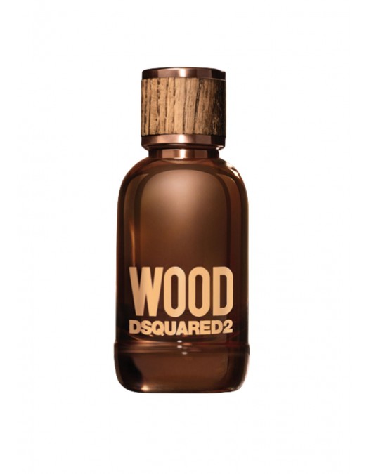Parfum DSQUARED2, Wood Pour Homme edt 100ml - D5B10