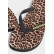 Papuci DSQUARED2, Wild2 Flip Flops - FFM000117208868M4269