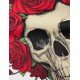 Bluza Amiri , White, DEAD SKULL Roses - MJGC006100