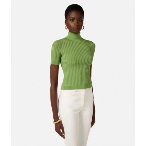 Top ELISABETTA FRANCHI, Sheer knit top, Verde