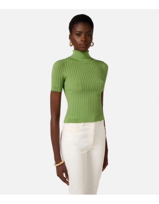 Top ELISABETTA FRANCHI, Sheer knit top, Verde - MK01S62E2EV3
