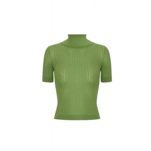 Top ELISABETTA FRANCHI, Sheer knit top, Verde