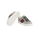 Sneakers GUCCI, Ace sneaker with Web - 760775FACMZ4049