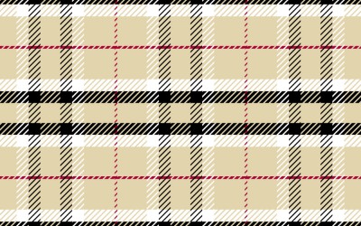 De Ce sa Cumperi Burberry Direct din Magazin in Romania?